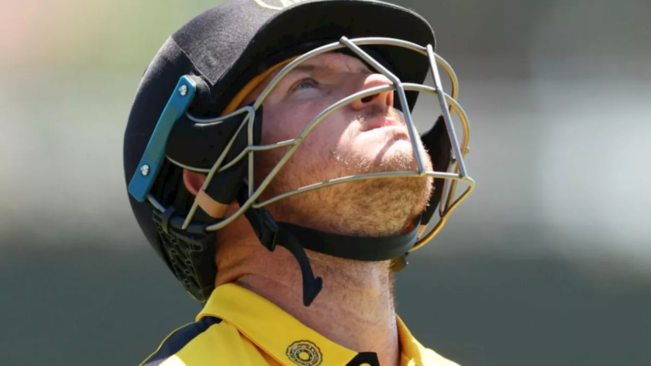 Western Australia crippled by extraordinary eight-wicket batting collapse against Tasmania