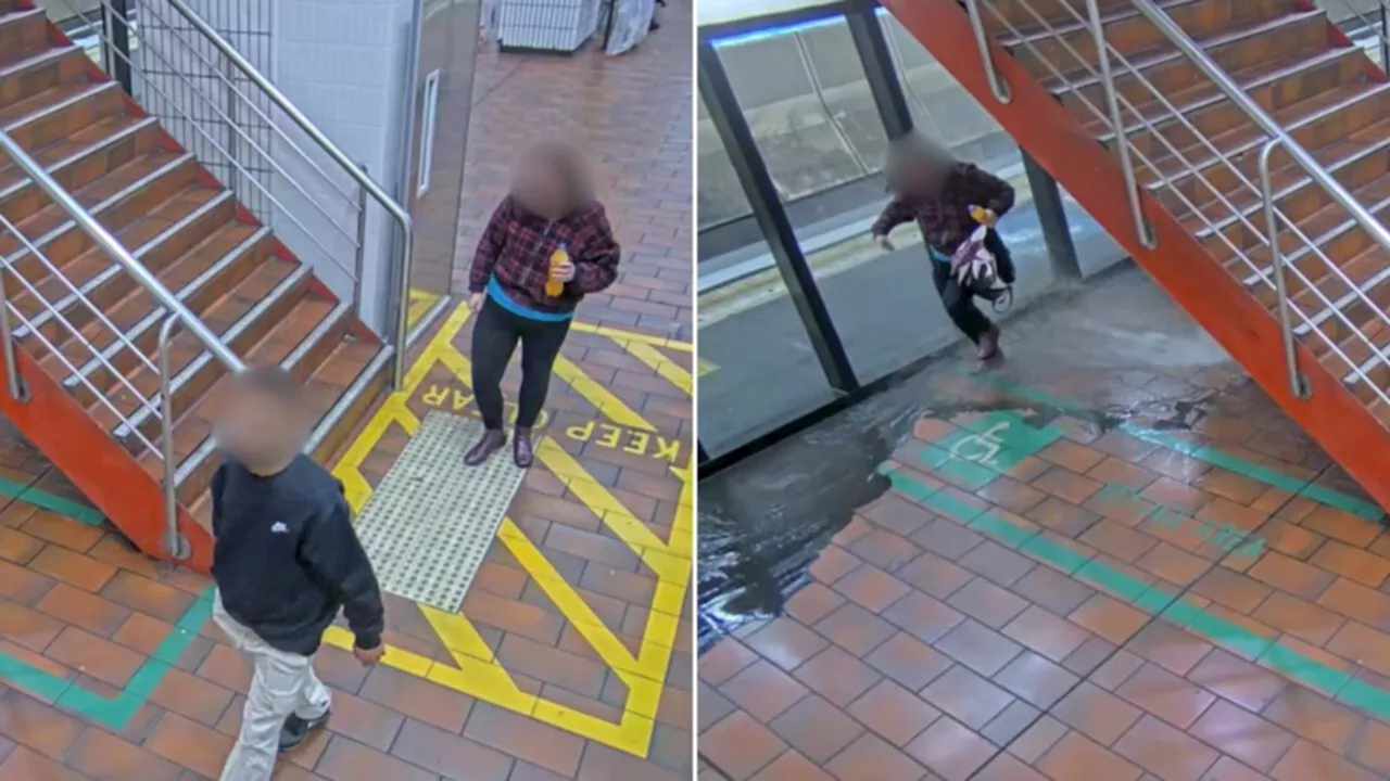 Pair arrested after ‘amorous’ actions caused flooding in Melbourne train stations