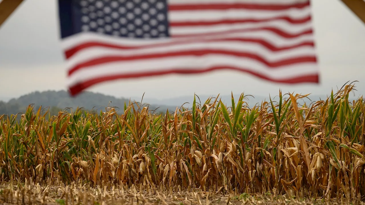 Almost half of the US is experiencing drought. How that can affect the food industry.