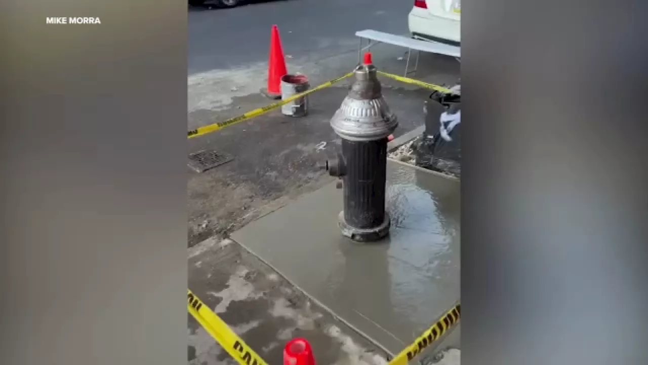 Makeshift Bed-Stuy aquarium removed after DEP officials pour cement around hydrant