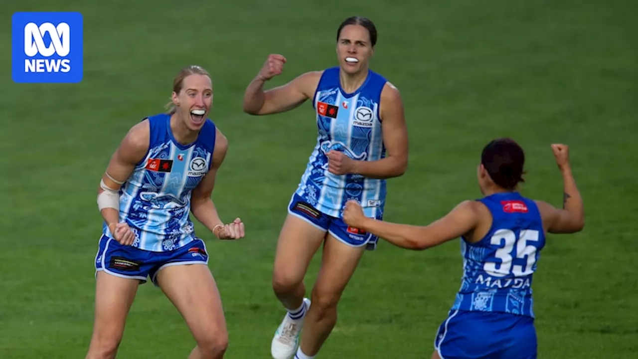 North Melbourne defeat Adelaide Crows by eight points at Norwood Oval