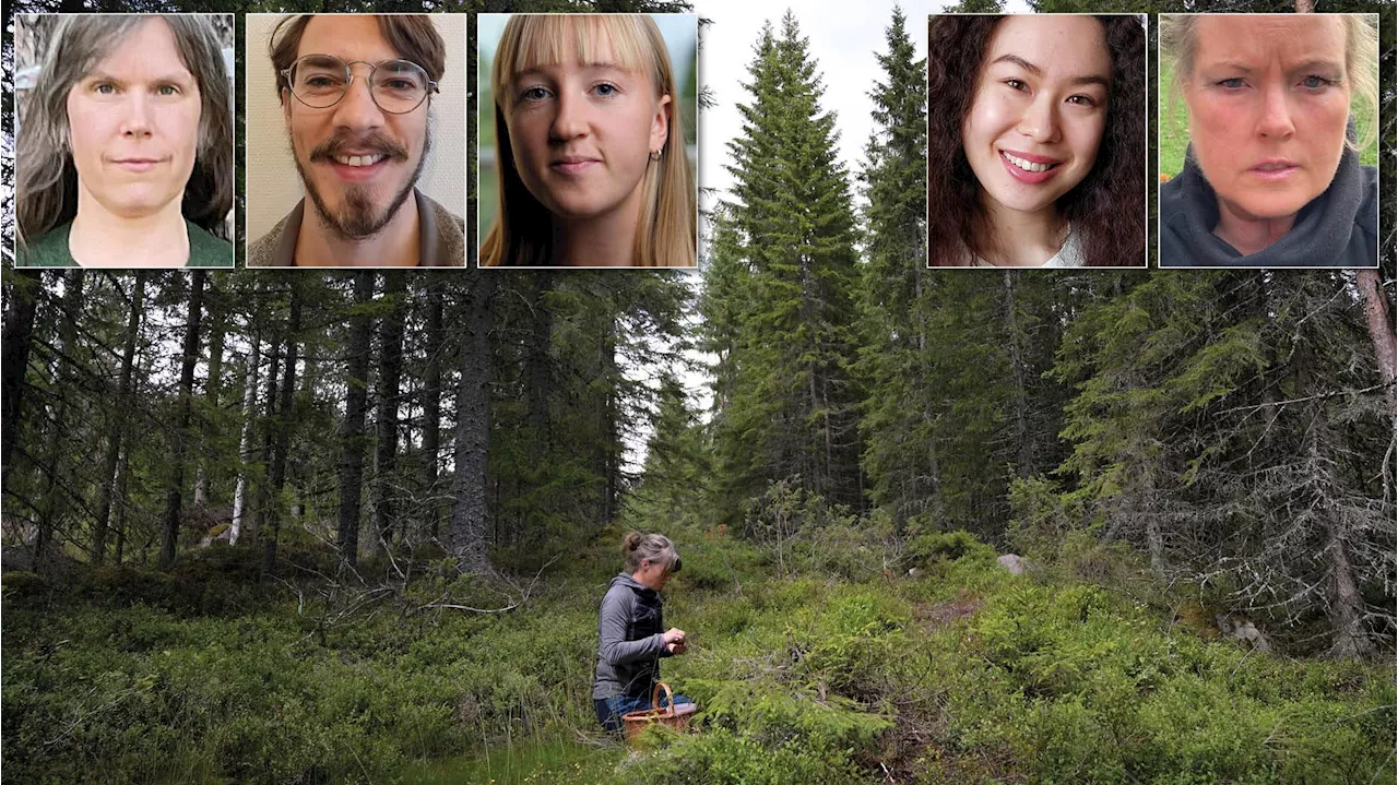 Kyrkan borde skydda 30 procent av sin skog