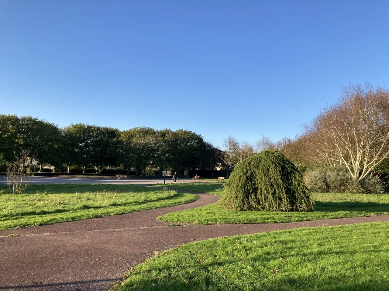 Grâce à don de presque 100 000 euros, ce jardin de Cherbourg va s’embellir