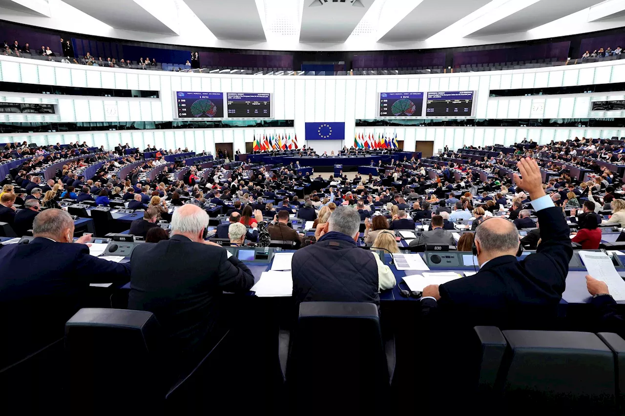 EU-parlamentarikere nedstemte halvering af egne lønninger: Kun én dansker stemte for