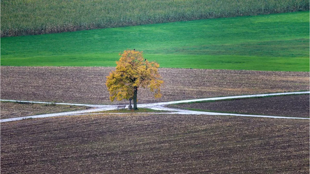 Herbstferien-Wetter in Bayern: Sommerlicher Oktober oder nebelige Überraschung?