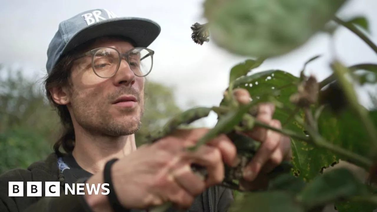 Forest Hill: Community garden saved from closure