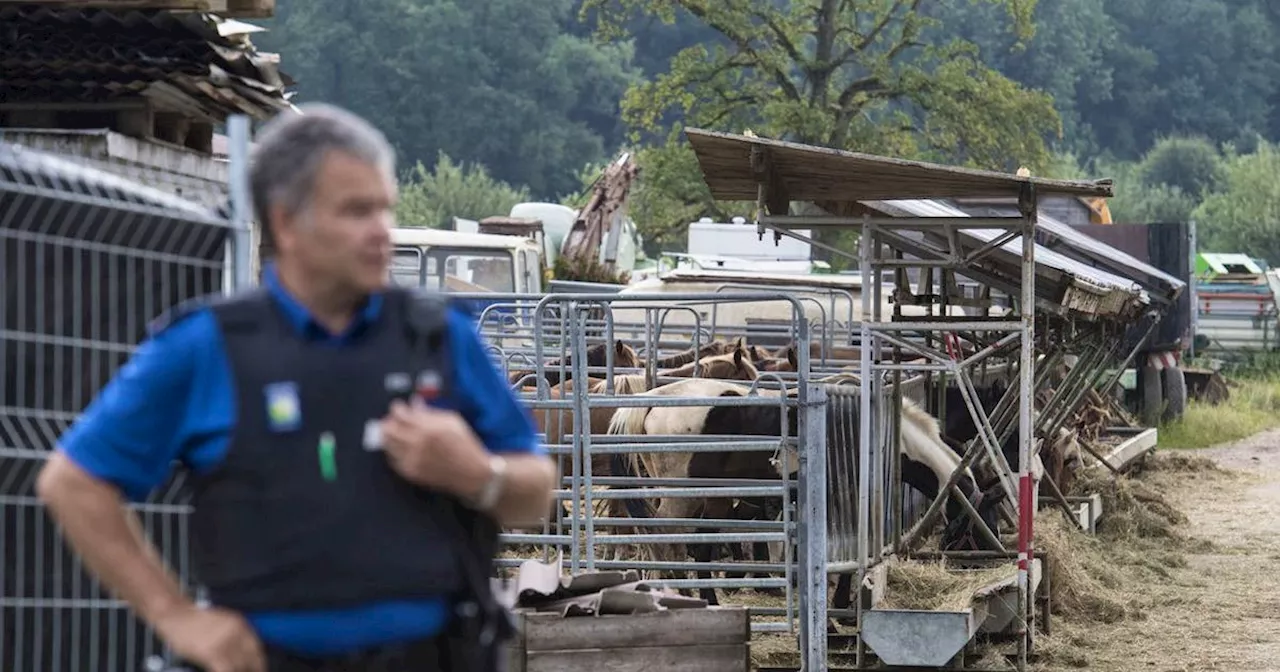 Thurgauer Obergericht überprüft Freisprüche im Fall Hefenhofen