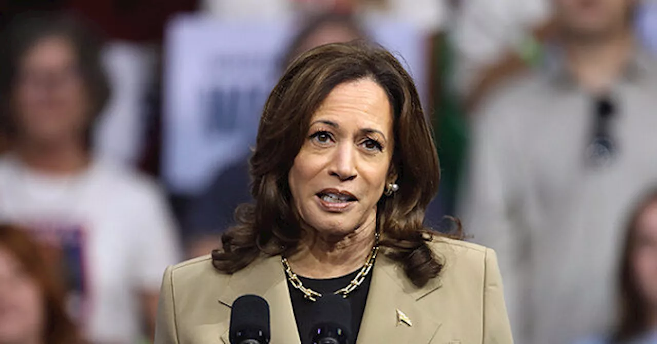 Fmr. Obama Adviser: Harris’ Housing Credit ‘Not Something We Can Afford’, Will Enrich Homeowners, Not Buyers