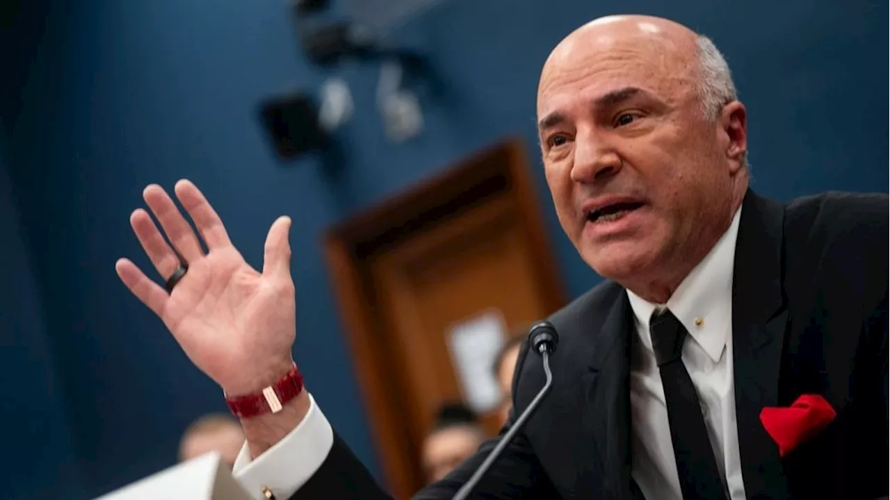 Kevin O'Leary accuses Dems of circumventing democracy through Harris nomination