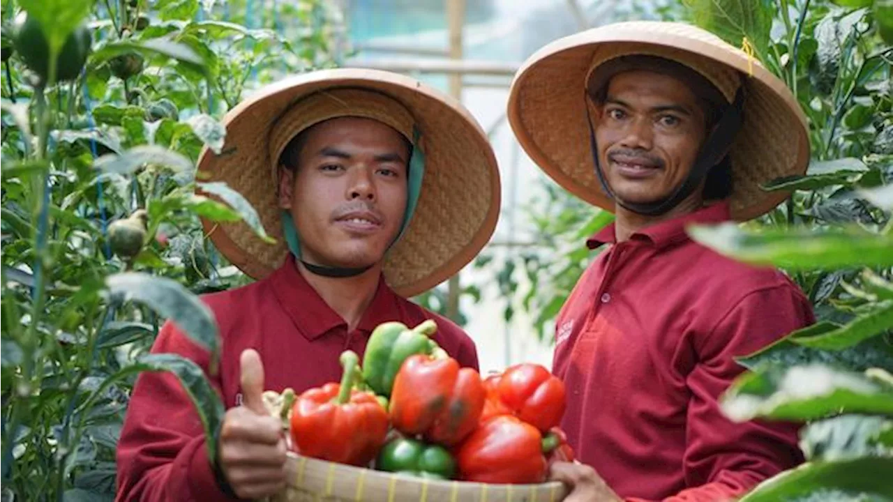 Prabowo Mau Hapus Utang 6 Juta Petani dan Nelayan, OJK Bilang Gini