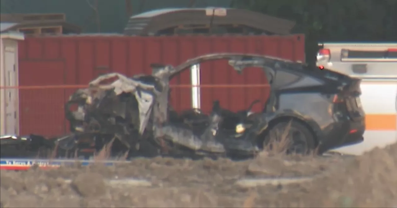 ‘I did everything I could’: Canada Post driver recounts helping save woman from fiery Tesla crash