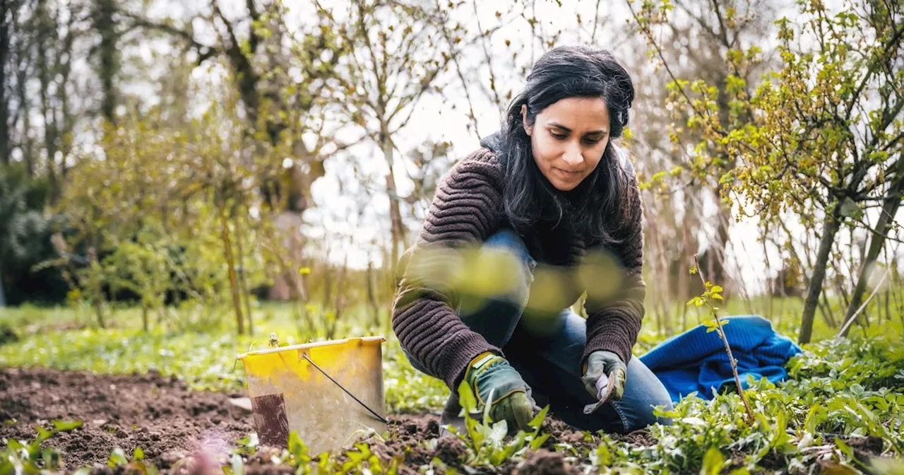 Woman says she's the 'luckiest person in UK' after rare find in back garden