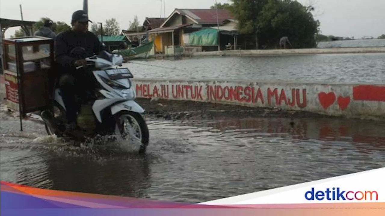 Asa dari Tanah yang Tenggelam Dilahap Laut Jawa di Subang