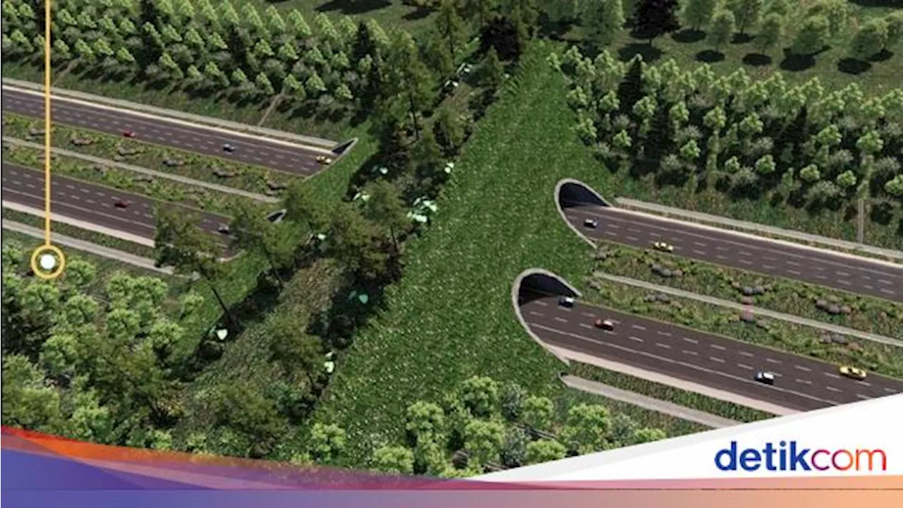 Jembatan Khusus Satwa Dibangun Dekat Tol IKN