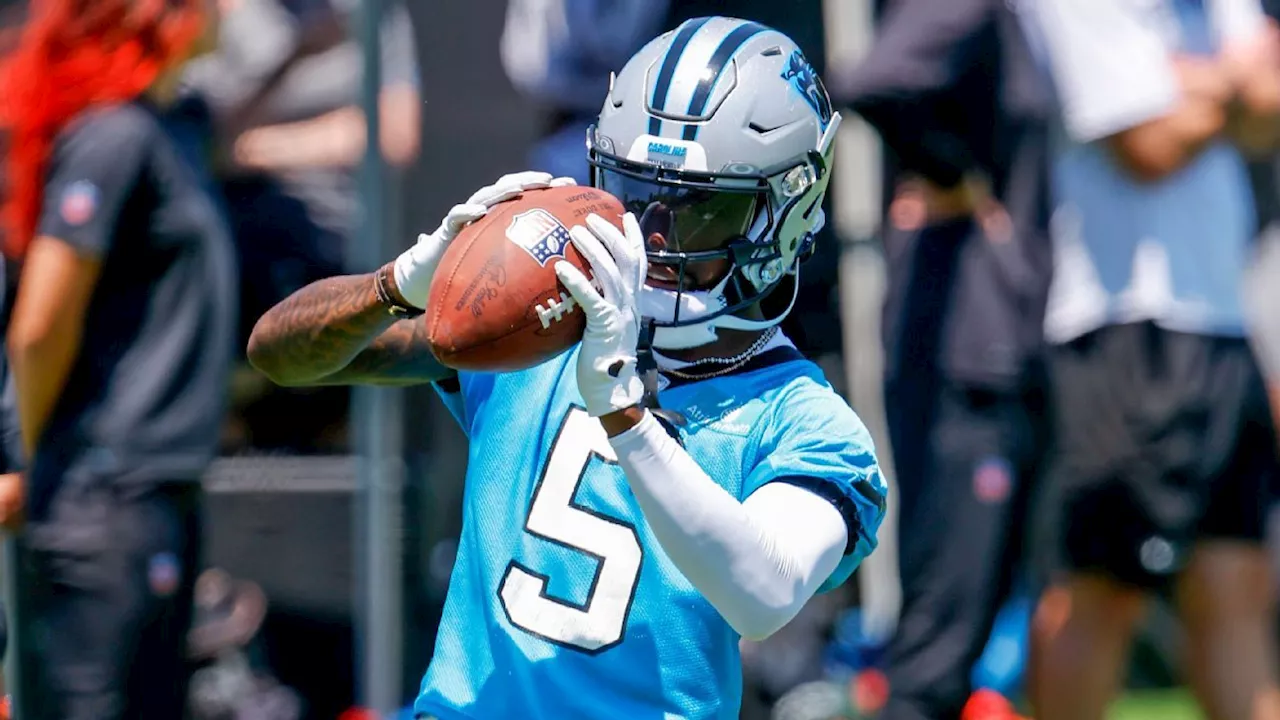 Panthers WRs Diontae Johnson, Adam Thielen ruled out vs. Broncos