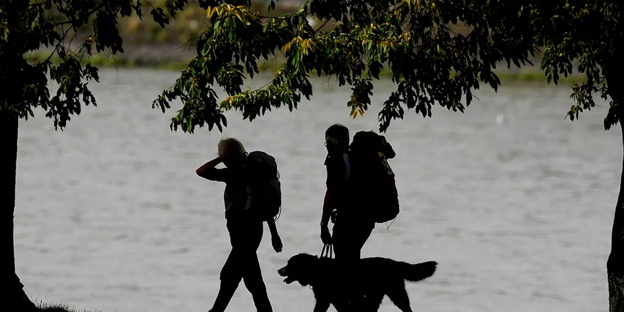 An der frischen Luft: Wandern mit Hund: Mit diesen Tipps ist man gut gerüstet