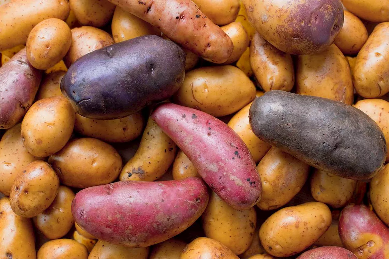 You're Storing Your Potatoes Wrong — This ‘Clever’ Storage Hack Keeps Them Fresher for Longer