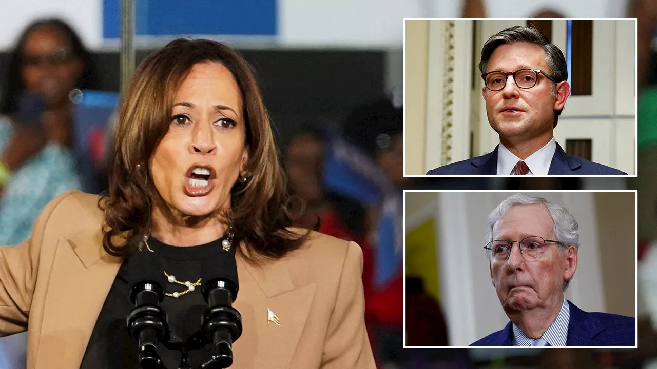 Harris silent after GOP leaders say 'fascist' rhetoric 'risks inviting' another Trump assassination attempt