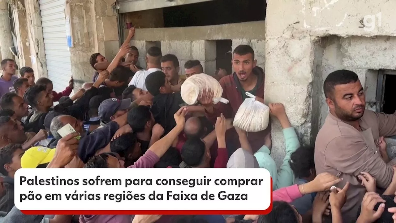 VÍDEO mostra luta de palestinos para comprar pão na Faixa de Gaza: 'Se não morrermos pela guerra, morreremos de fome'