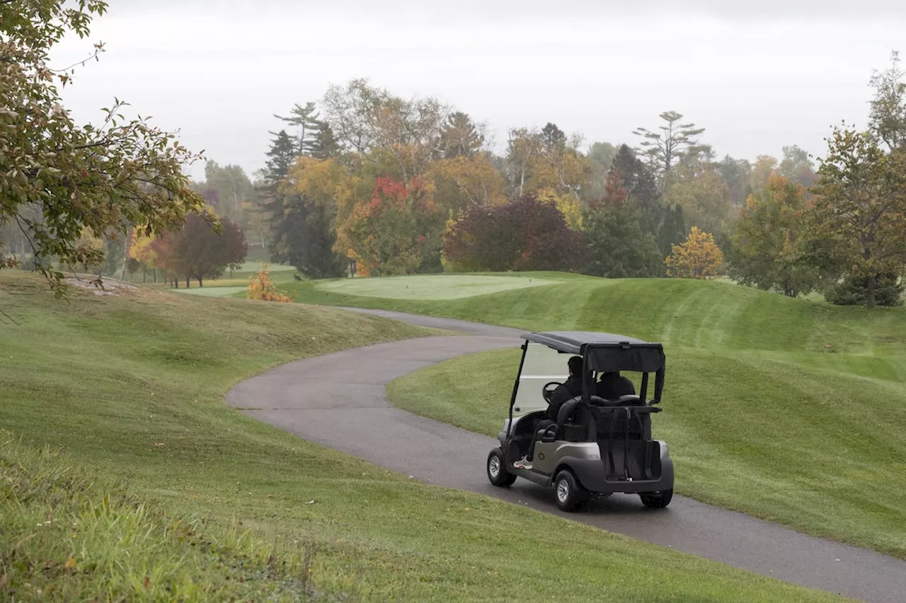 Golf carts to ride roads in seven Alberta municipalities under pilot program