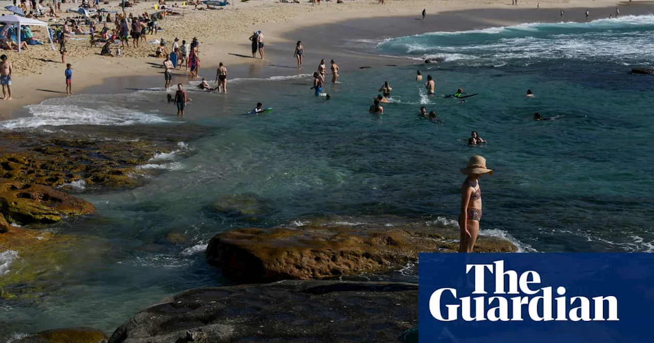 Popular Sydney beaches among quarter of NSW swimming spots polluted with faecal matter in past year