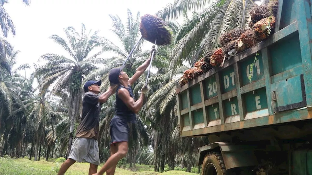 Buruh Industri Hidup dari Utang Ke Utang