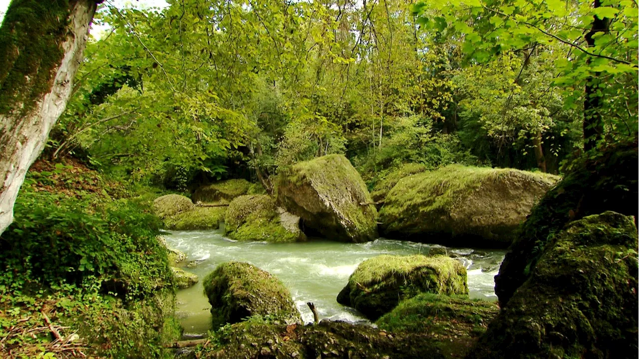 Neuer Klima-Schwerpunkt - Dem ORF kann derzeit niemand das Wasser reichen