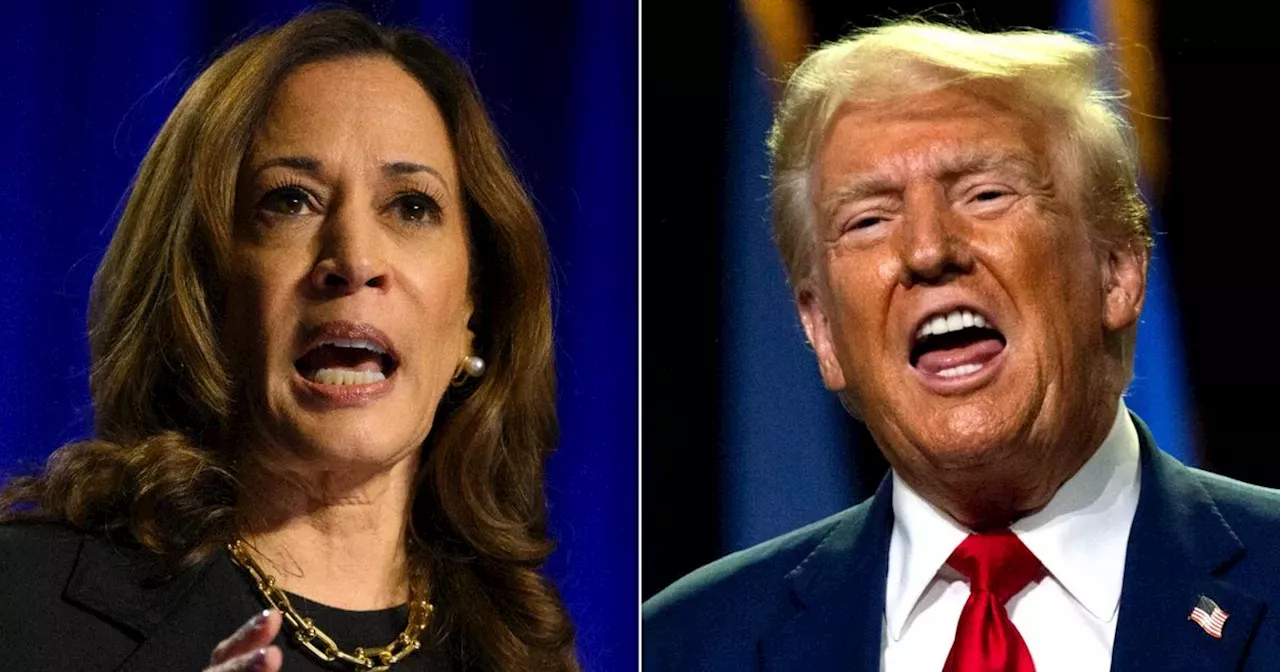 Harris Rallies, Trump Dances For The Camera As Election Day Nears ...