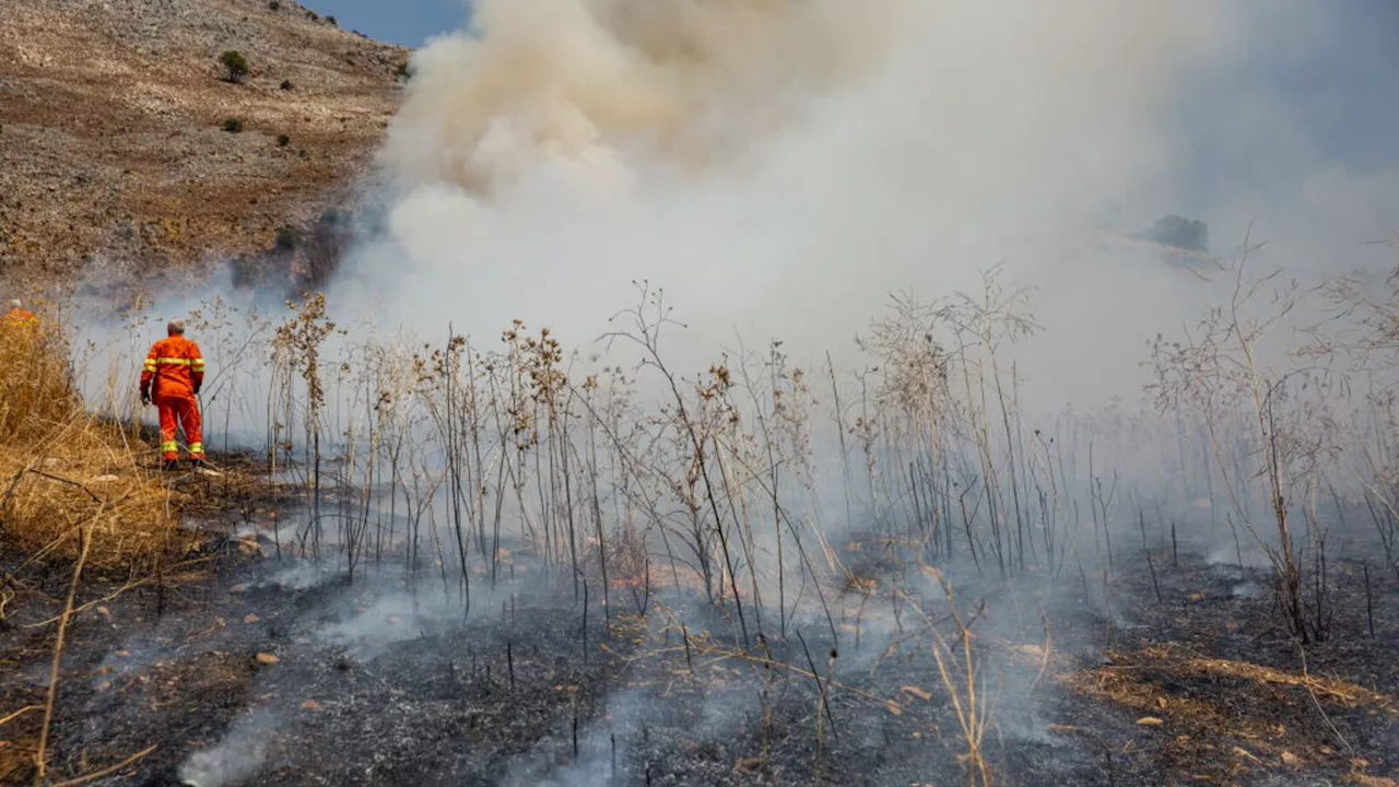 Forestale, il contenzioso con la Cedu finito nel peggiore dei modi