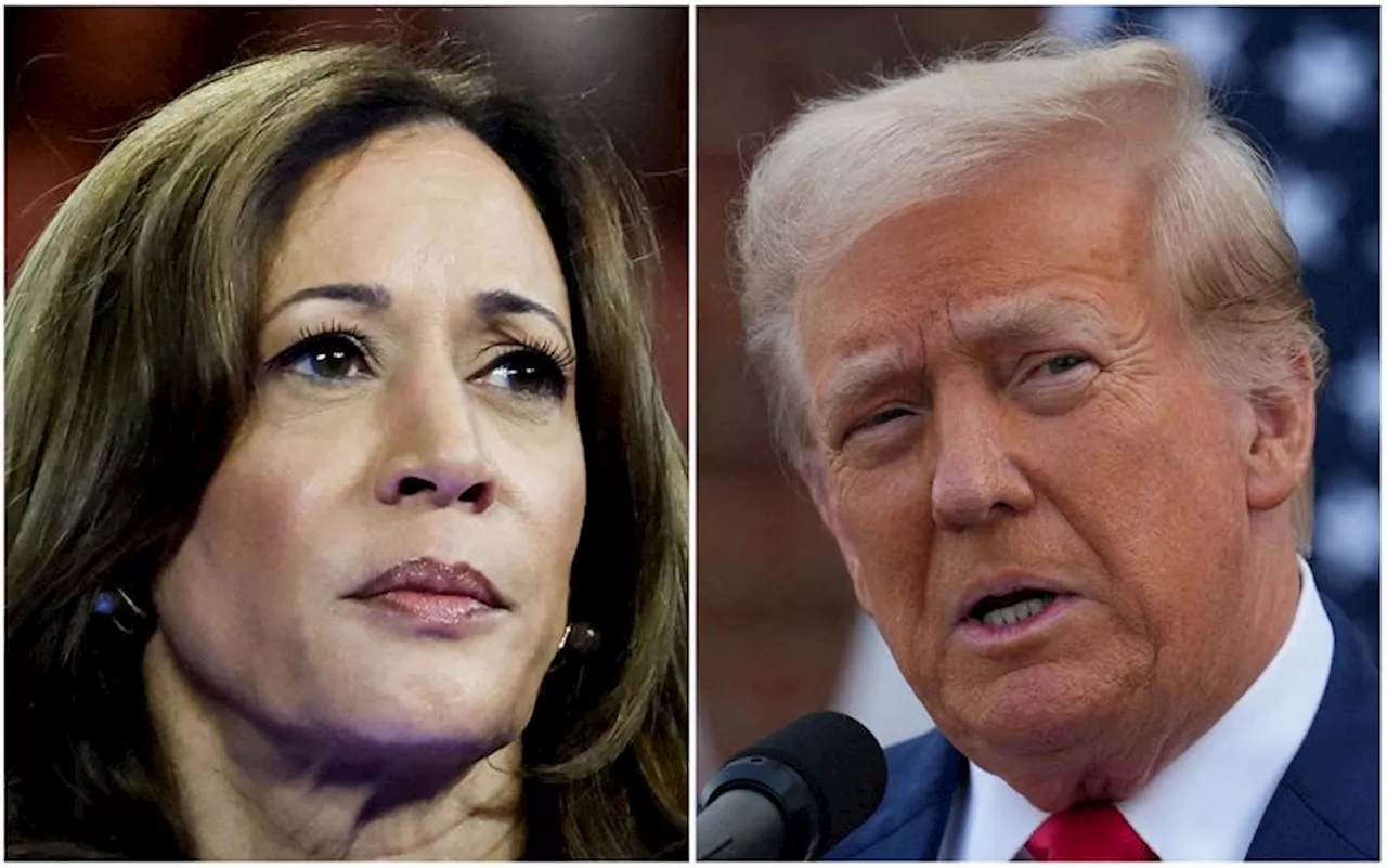 US election race tied 48-48% between Trump and Harris, NYT poll shows