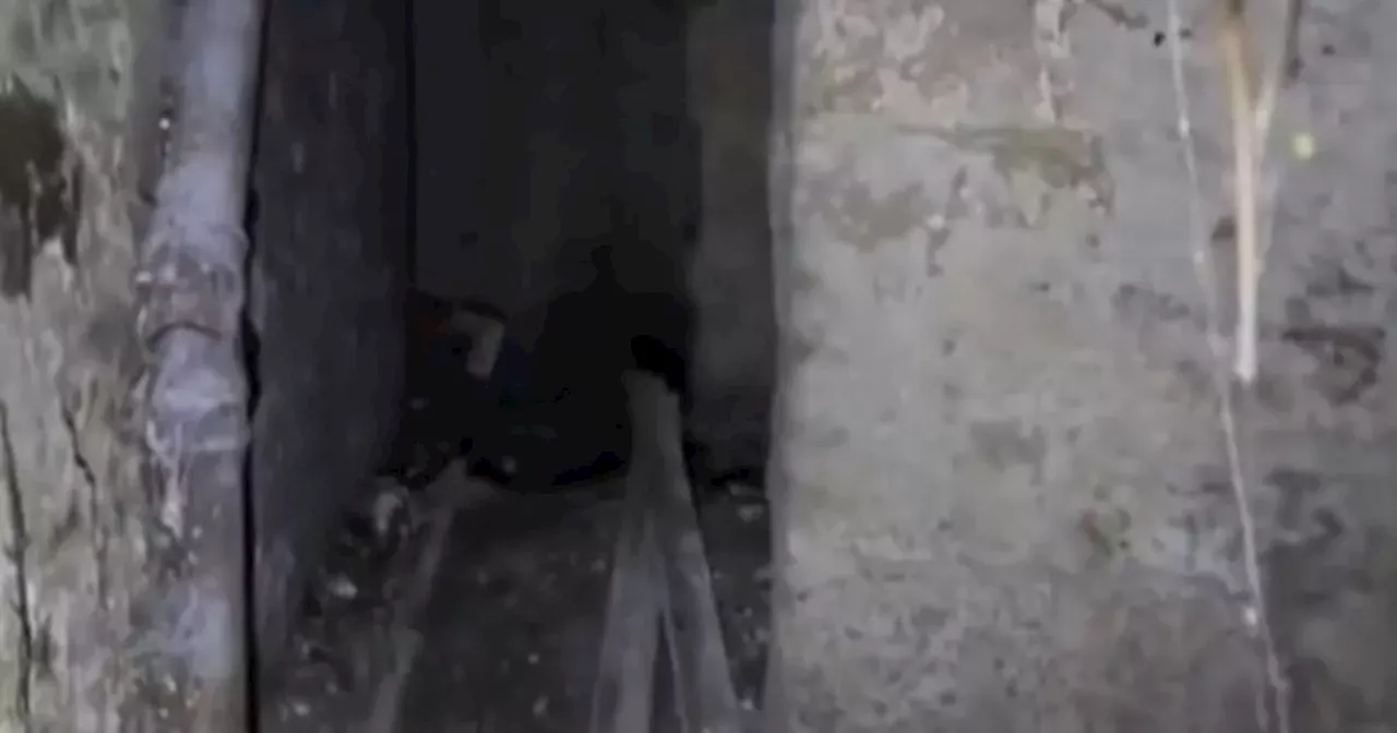 Couple who bought Victorian flat make terrifying discovery under the stairs