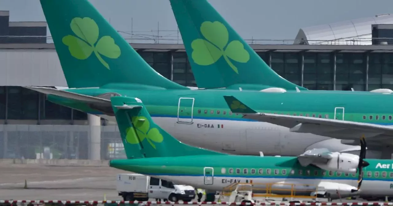 Flight U-turn after alleged sexual assault cost Aer Lingus €28k, court told