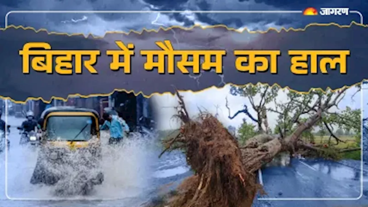 Bihar Weather Today: बिहार में चक्रवात दाना का प्रभाव, 18 जिलों में मूसलाधार बारिश का अलर्ट; पढ़ें आज का मौसम