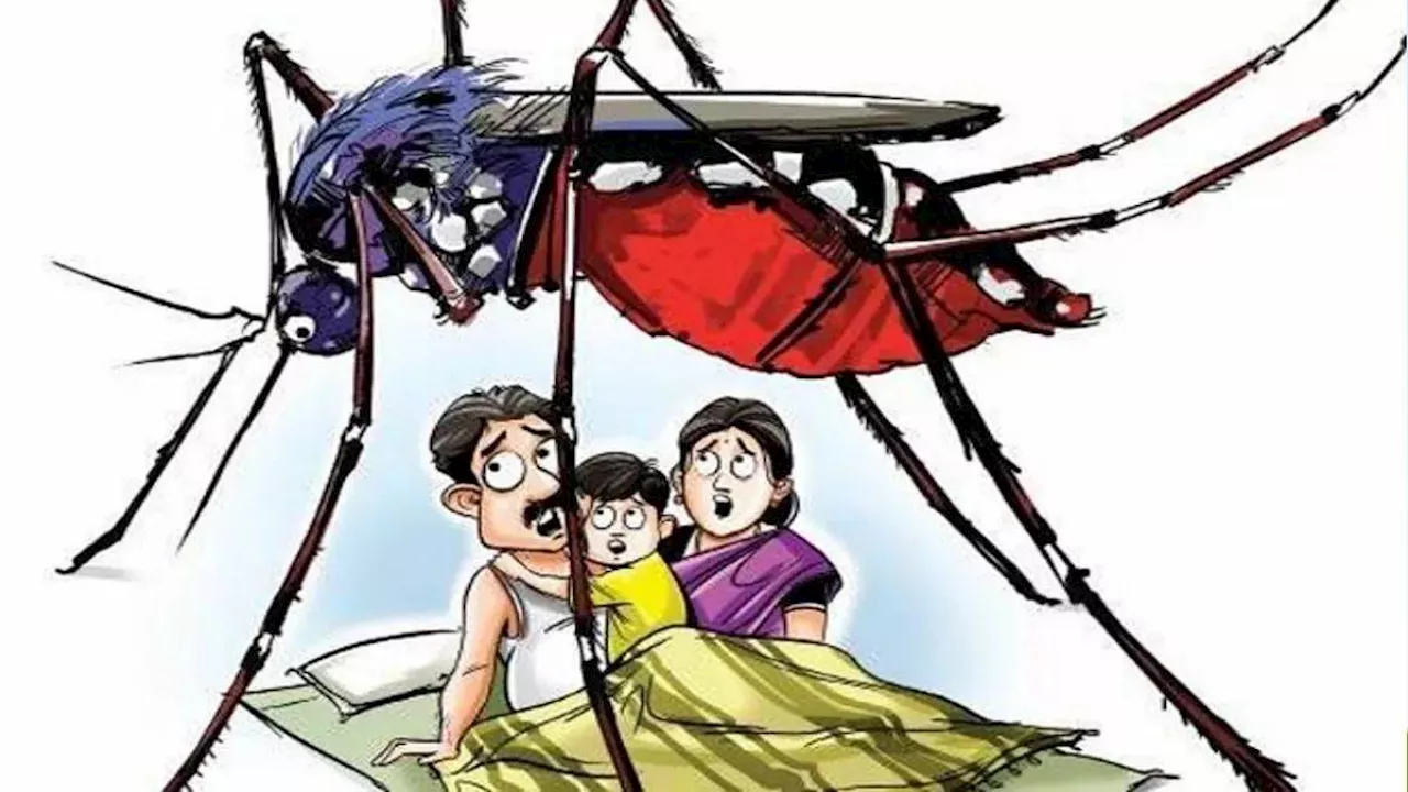 Malaria-Chikungunya Case: डेंगू से ज्यादा मलेरिया और चिकनगुनिया फैला रहे आतंक, चौंकाने वाले हैं दिल्ली के आंकड़े