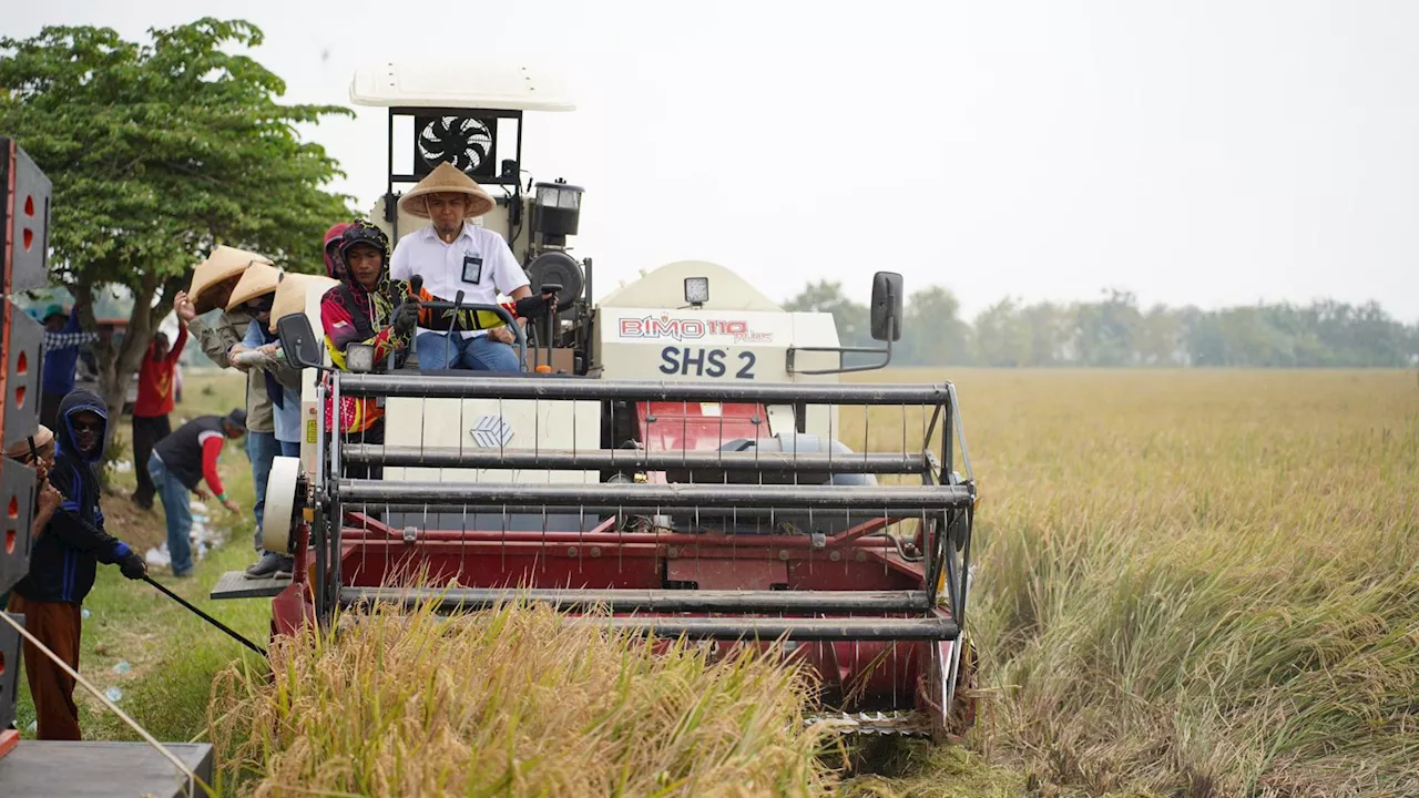 Teknologi Pertanian Presisi Dukung Produktivitas Pertanian Meningkat, Siap Swasembada Pangan