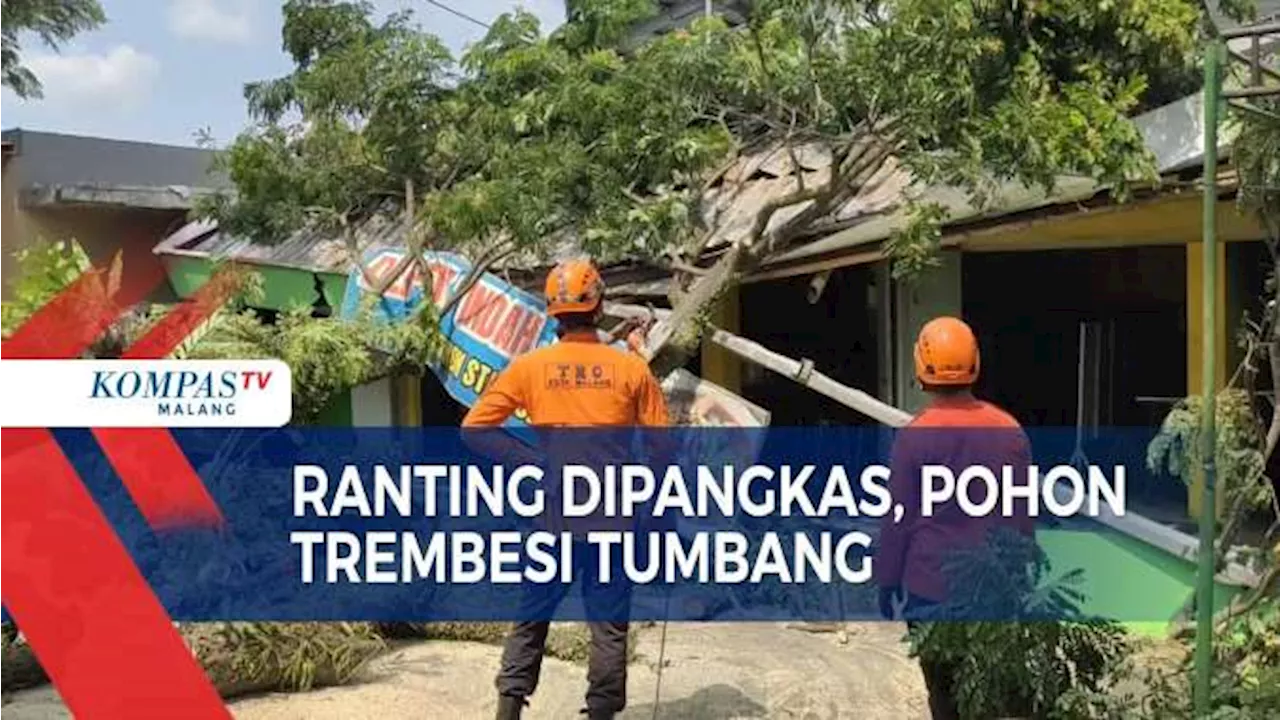 Cuaca Cerah, Pohon Depan Stasiun Malang Tumbang Timpa Warung