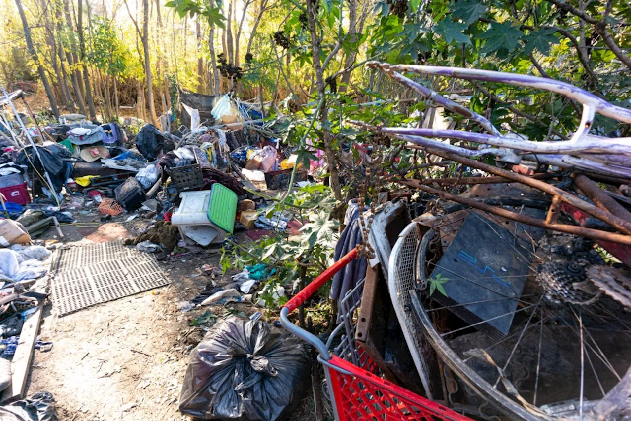 Los Angeles City Council hopes to fund investigations into unlawful dumping