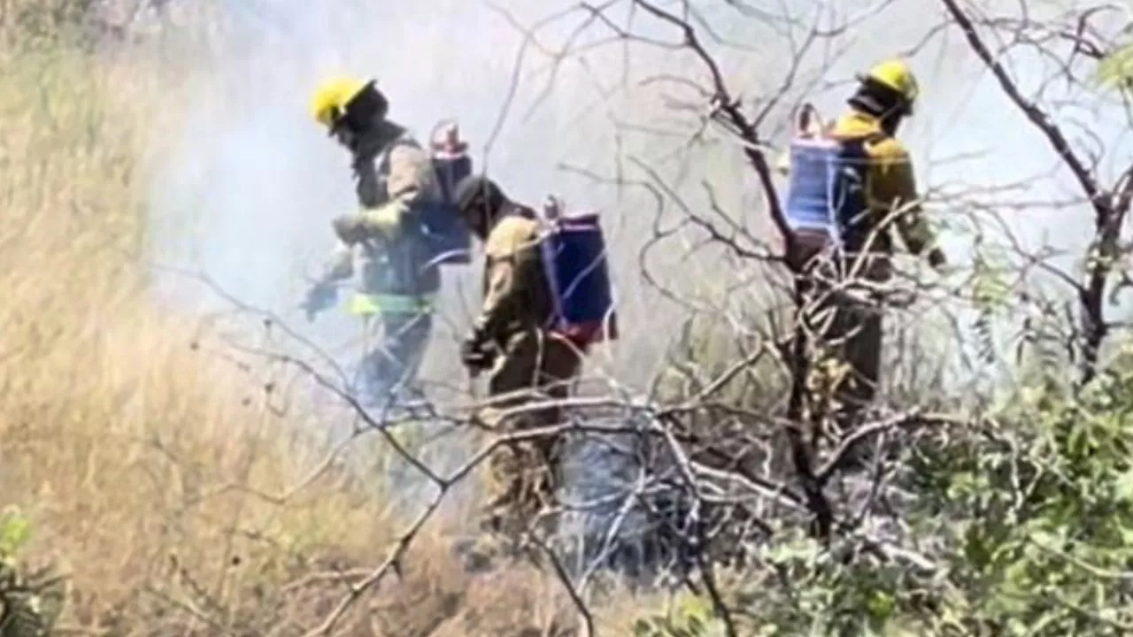 Bomberos lentos en León: tardan 26 minutos cuando estaban a 5 minutos