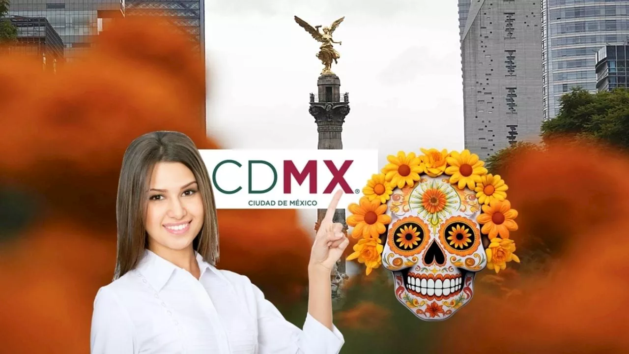 Día de muertos 2024: ¿Dónde comprar en la CDMX flores de cempasúchil?