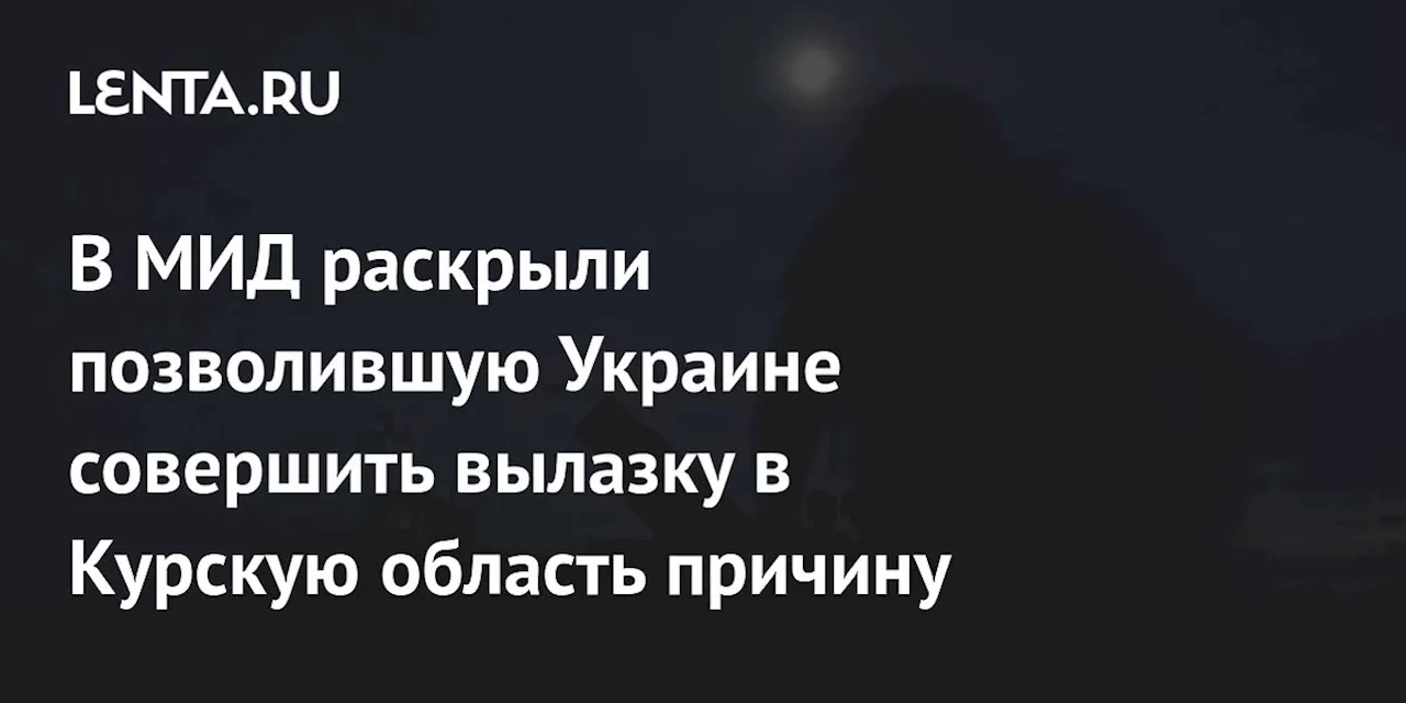 В МИД раскрыли позволившую Украине совершить вылазку в Курскую область причину