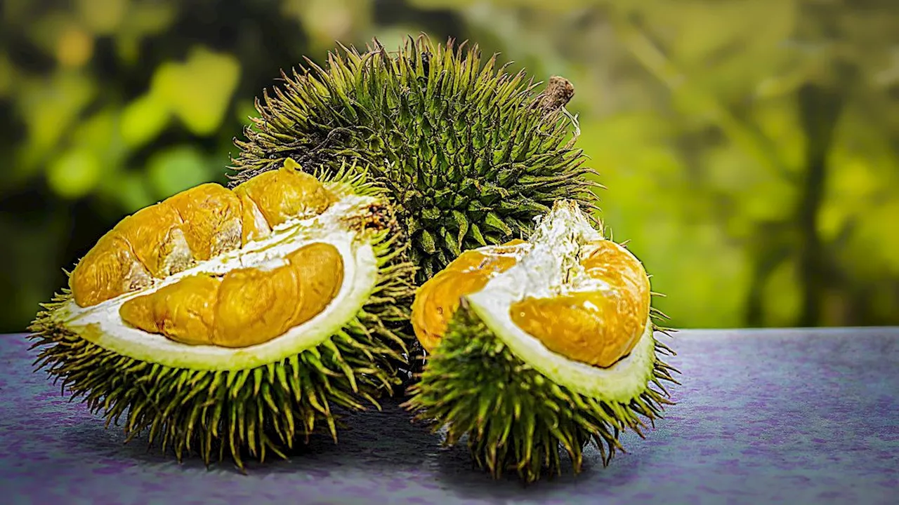 5 Manfaat Durian untuk Kesehatan, Tingkatkan Mood Hingga Kurangi Risiko Hipertensi