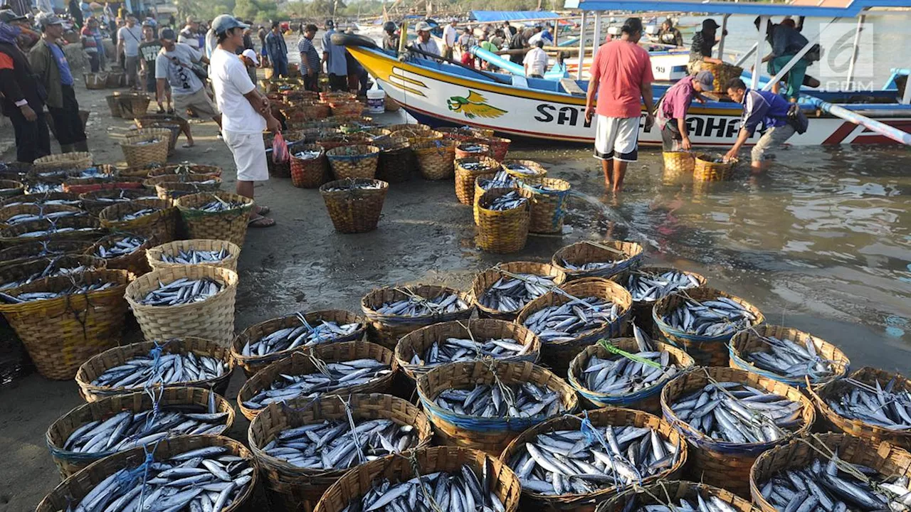 Trik Efektif Mengurangi Rasa Asin Pada Ikan Asin, Solusi Tanpa Koran