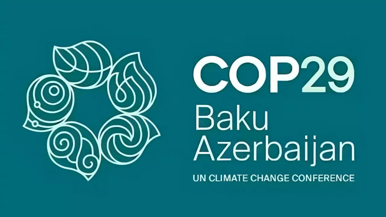 As COP29 comes in November, what's on the line?