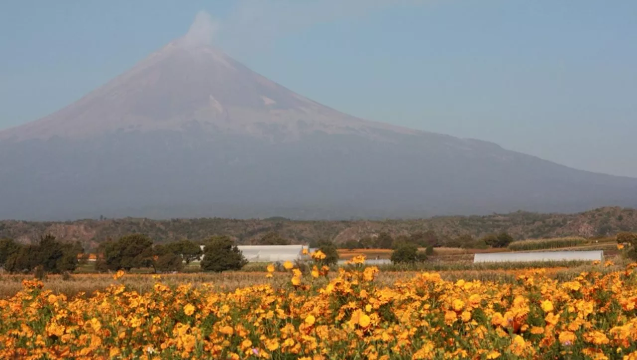 Volcán Popocatépetl HOY: Registra 45 exhalaciones y caída de ceniza en Puebla