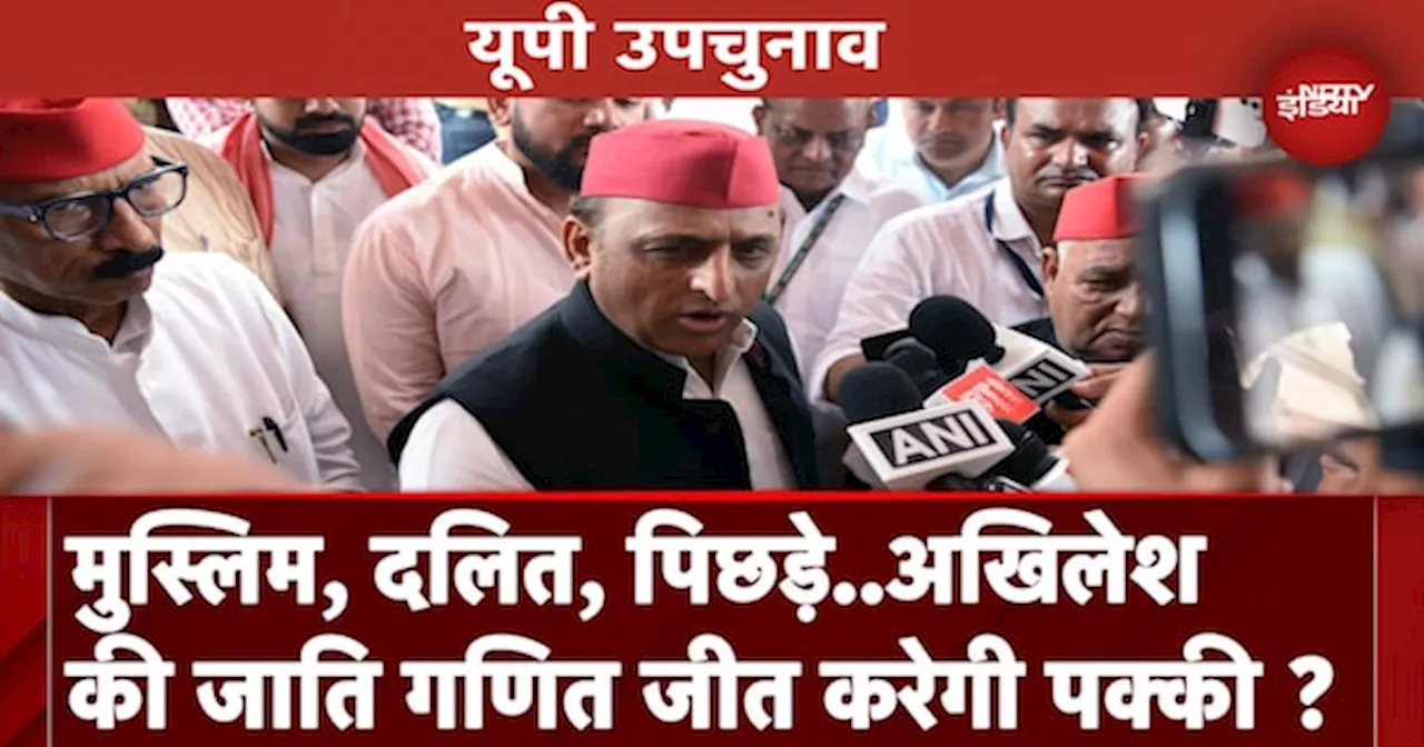 UP By Elections: Akhilesh Yadav का PDA फॉर्मूला आएगा काम या चलेगा NDA का OBC