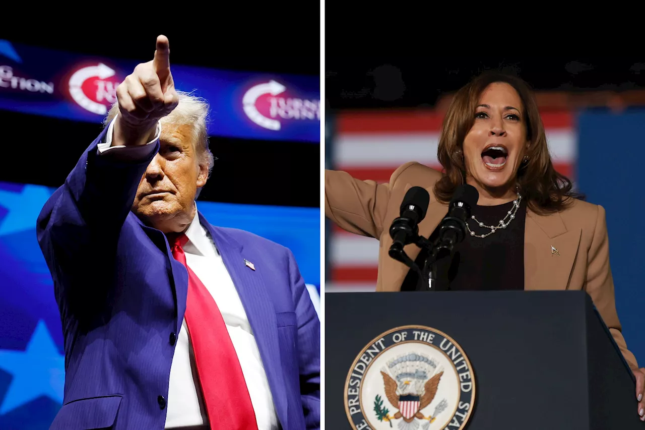 Trump Within Striking Distance of Harris in New Hampshire: Poll