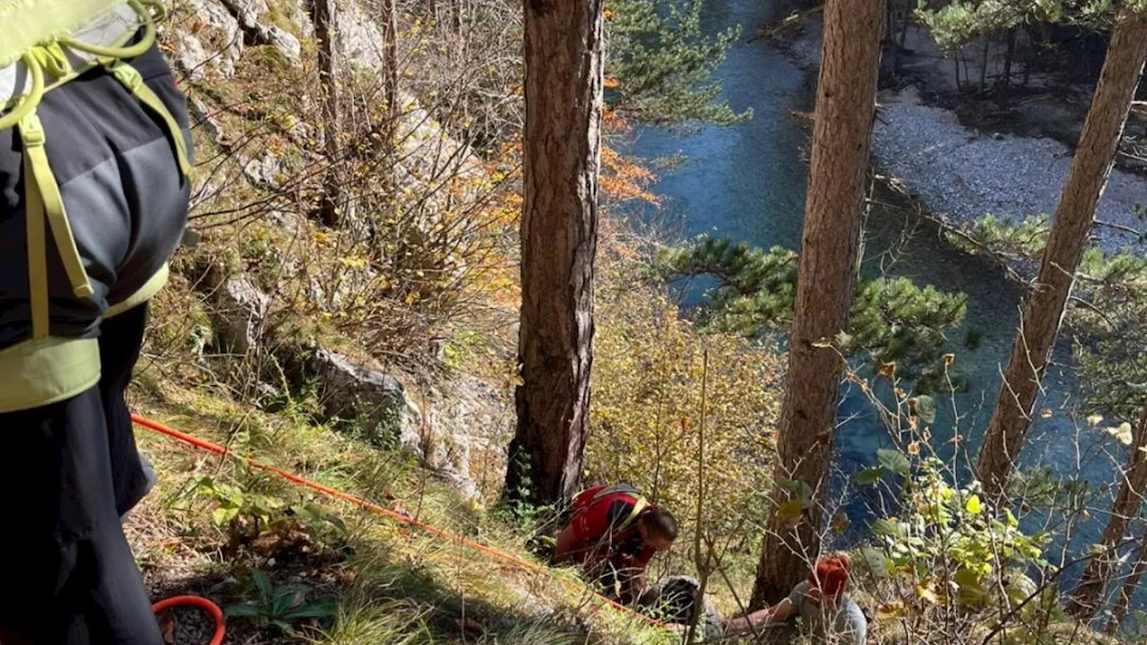 Glück im Unglück: Baum stoppte Sturz von Pensionistin in die Schwarza