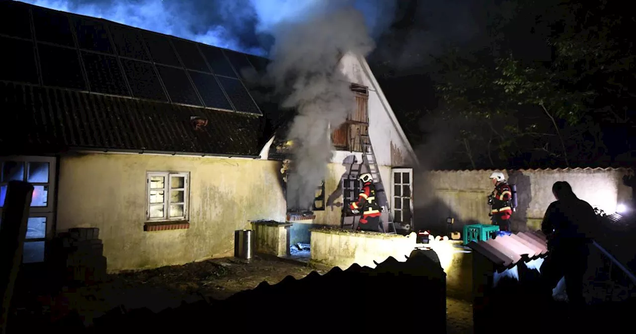 43-årig skyder skylden på en krage - men brandhunden Aske fik ham dømt