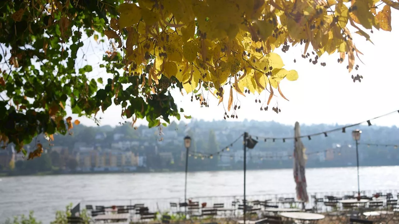 Rheinland-Pfalz & Saarland: Mildes Herbstwetter erwartet