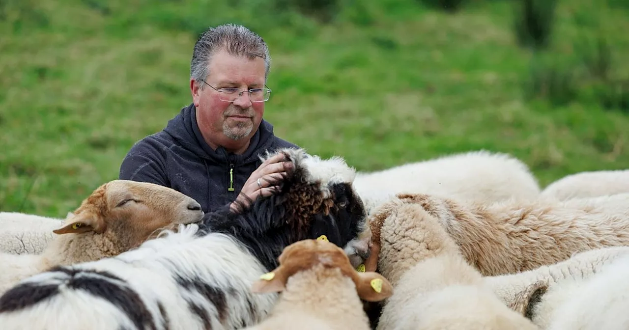 Diese schwulen Böcke lieben, wen sie wollen